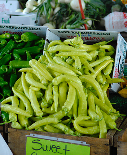 Export Quality Fresh Green Chilies G4 Grade