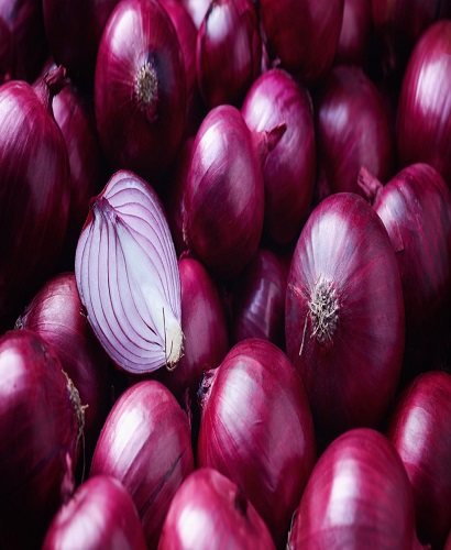 Premium Export Quality Red and White Onions
