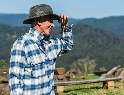 KrishnaNova Export Contact