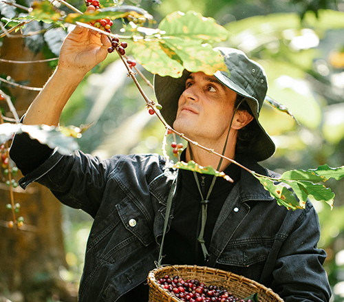 Export FAQ - KrishnaNova Export