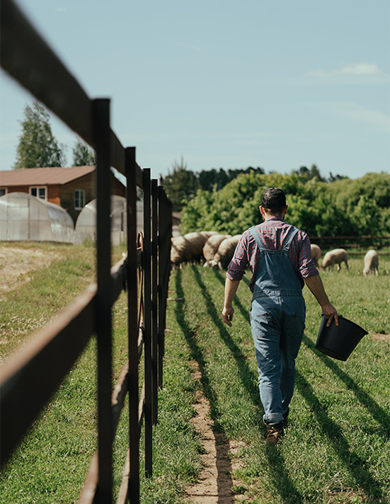 Why Choose KrishnaNova Export for Agricultural Exports